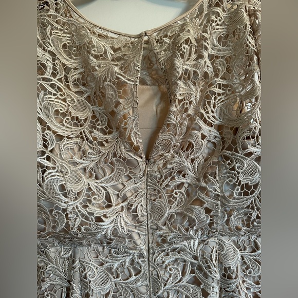 Stunning Lace Gown - Picture 4 of 10